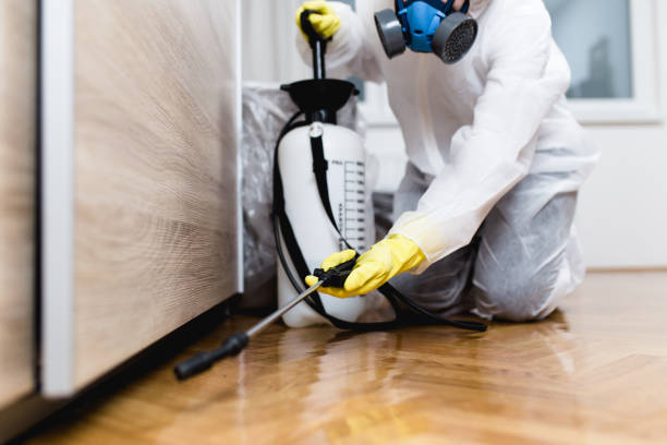 Best Ant Control Services  in Nokesville, VA