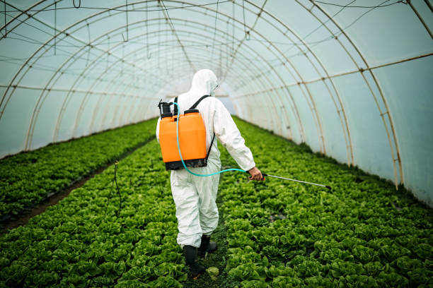Best Residential Pest Control  in Nokesville, VA