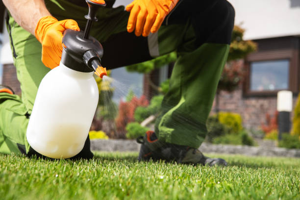 Best Pest Removal Services  in Nokesville, VA