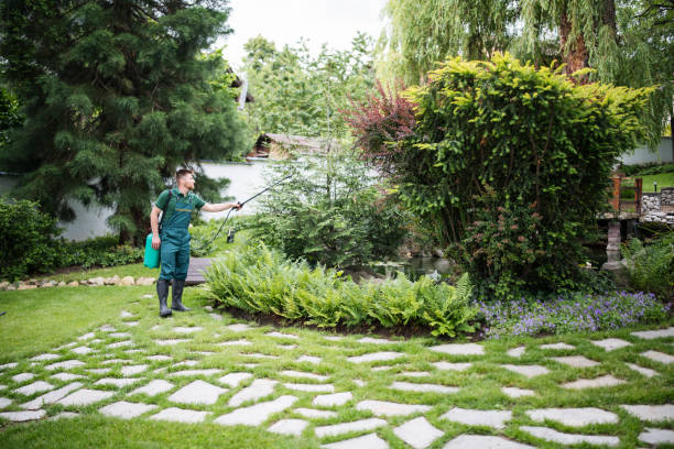Best Best Pest Control Companies  in Nokesville, VA