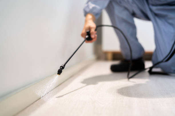 Best Affordable Pest Control Services  in Nokesville, VA