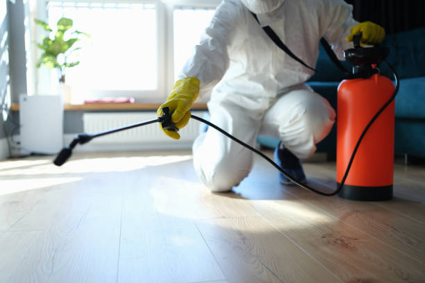 Best Residential Pest Control  in Nokesville, VA