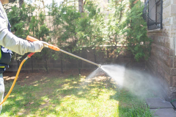 Trusted Nokesville, VA Pest Control Experts