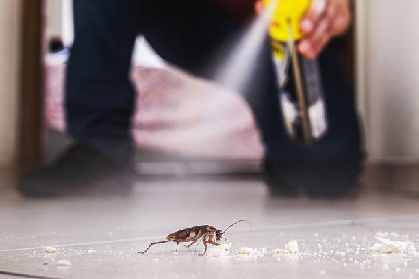 Best Pest Prevention Services  in Nokesville, VA