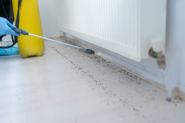 Best Commercial Pest Control Services  in Nokesville, VA